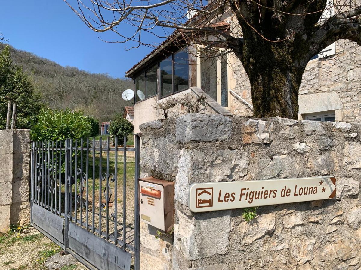 Les Figuiers De Louna - Pierre Ensoleillee - 110 M2 Et Une Veranda Saint-Géry Eksteriør bilde